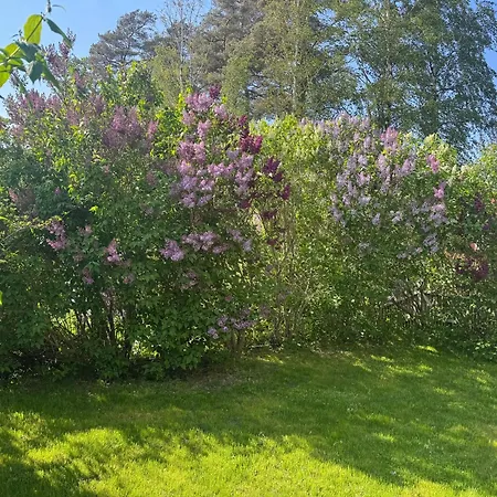 New & Modern 70 Metres From The Fjord * Vestby (Akershus)